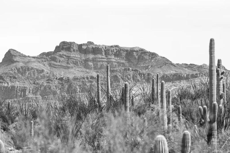 American Borderlands by Nathan Larson. SKU 90437i. Archival Giclee Fine art print for wall decor.