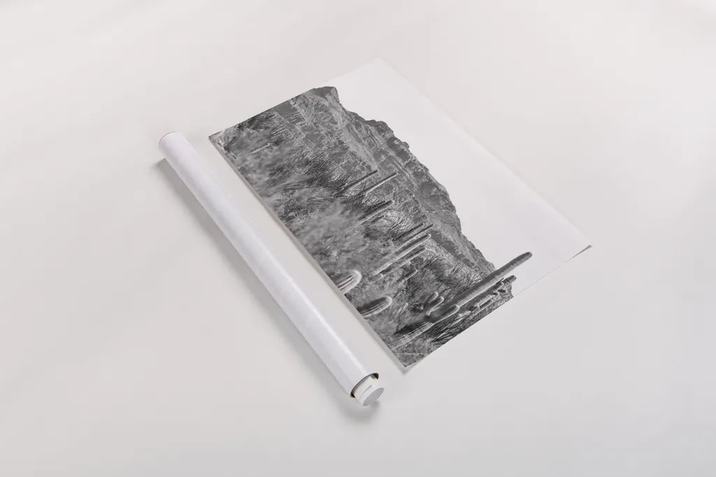 American Borderlands by Nathan Larson. shown as a rolled paper print. Available as archival giclee rolled canvas, fine art paper, or poster print. SKU 90437i.