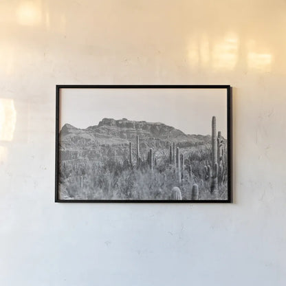 American Borderlands by Nathan Larson. shown as a paper print in a black flame. Available as a archival giclee rolled canvas, fine art paper, or poster print. SKU 90437i.