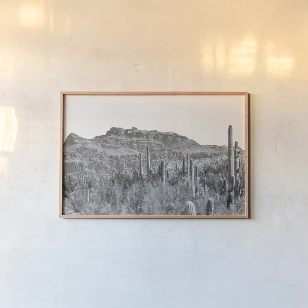 American Borderlands by Nathan Larson. shown as a paper print in a natural frame. Available as a archival giclee rolled canvas, fine art paper, or poster print. SKU 90437i.
