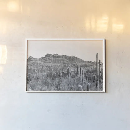 American Borderlands by Nathan Larson. shown as a paper print in a white frame. Available as a archival giclee rolled canvas, fine art paper, or poster print. SKU 90437i.