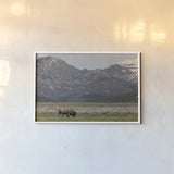 American Icon by Nathan Larson. shown as a paper print in a white frame. Available as a archival giclee rolled canvas, fine art paper, or poster print. SKU 92468i.