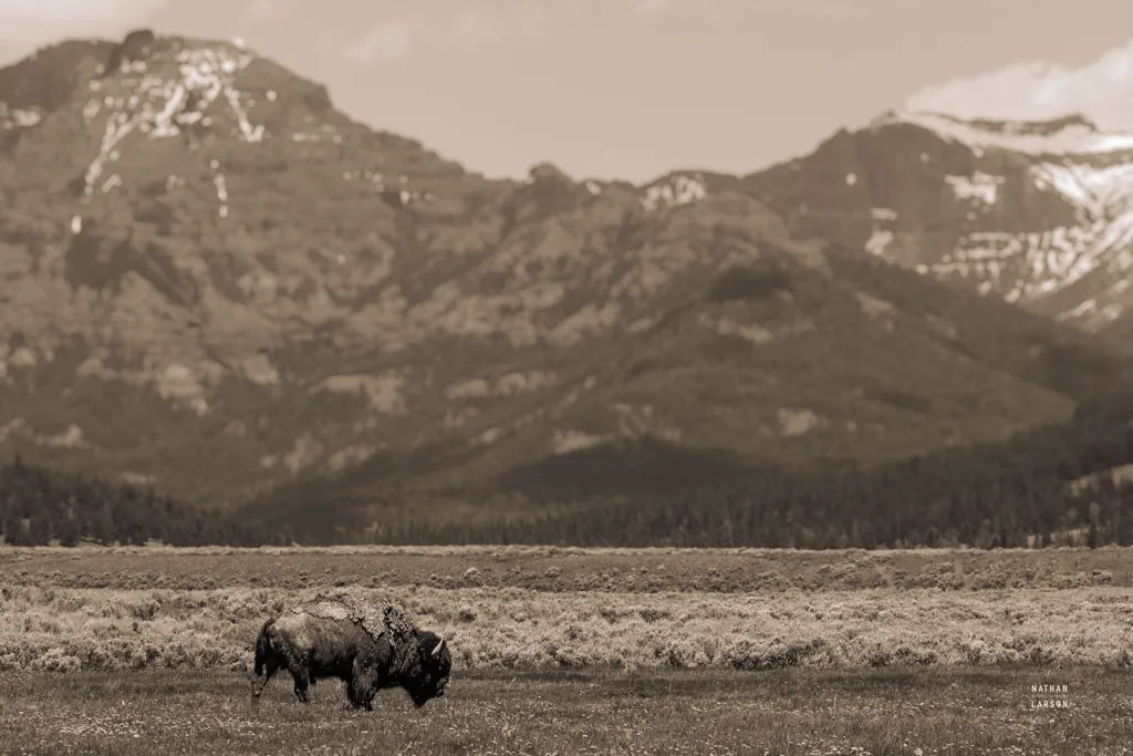 American Icon Sepia by Nathan Larson. SKU 92469i. Archival Giclee Fine art print for wall decor.