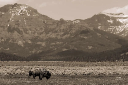 American Icon Sepia by Nathan Larson. SKU 92469i. Archival Giclee Fine art print for wall decor.