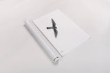 American Kestrel by Nathan Larson. shown as a rolled paper print. Available as archival giclee rolled canvas, fine art paper, or poster print. SKU 92579i.