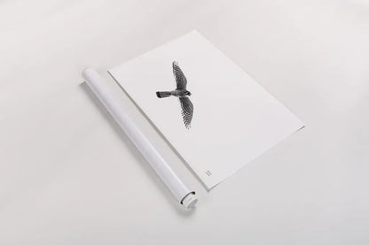 American Kestrel by Nathan Larson. shown as a rolled paper print. Available as archival giclee rolled canvas, fine art paper, or poster print. SKU 92579i.