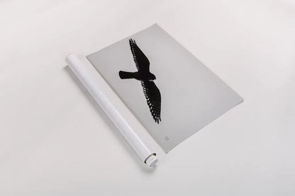 American Kestrel Hunting by Nathan Larson. shown as a rolled paper print. Available as archival giclee rolled canvas, fine art paper, or poster print. SKU 92577i.