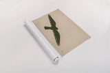 American Kestrel Hunting by Nathan Larson. shown as a rolled paper print. Available as archival giclee rolled canvas, fine art paper, or poster print. SKU 92578i.