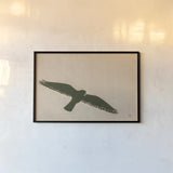 American Kestrel Hunting by Nathan Larson. shown as a paper print in a black flame. Available as a archival giclee rolled canvas, fine art paper, or poster print. SKU 92578i.