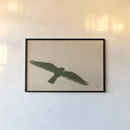 American Kestrel Hunting by Nathan Larson. shown as a paper print in a black flame. Available as a archival giclee rolled canvas, fine art paper, or poster print. SKU 92578i.