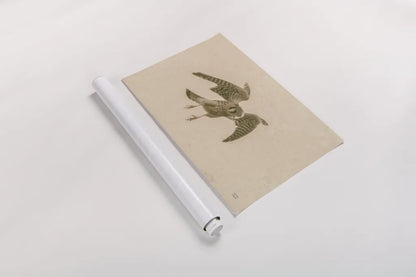 American Kestrel Incoming by Nathan Larson. shown as a rolled paper print. Available as archival giclee rolled canvas, fine art paper, or poster print. SKU 92581i.