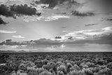 American Sage by Nathan Larson. SKU 80635i. Archival Giclee Fine art print for wall decor.