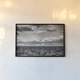 American Sage by Nathan Larson. shown as a paper print in a black flame. Available as a archival giclee rolled canvas, fine art paper, or poster print. SKU 80635i.