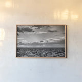 American Sage by Nathan Larson. shown as a paper print in a natural frame. Available as a archival giclee rolled canvas, fine art paper, or poster print. SKU 80635i.