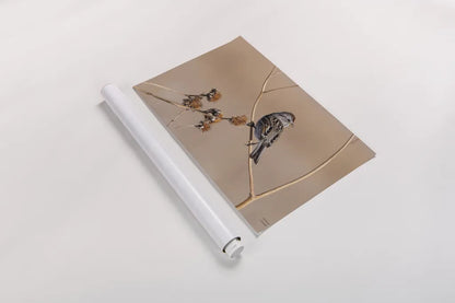 American Tree Sparrow by Nathan Larson. shown as a rolled paper print. Available as archival giclee rolled canvas, fine art paper, or poster print. SKU 101665i.