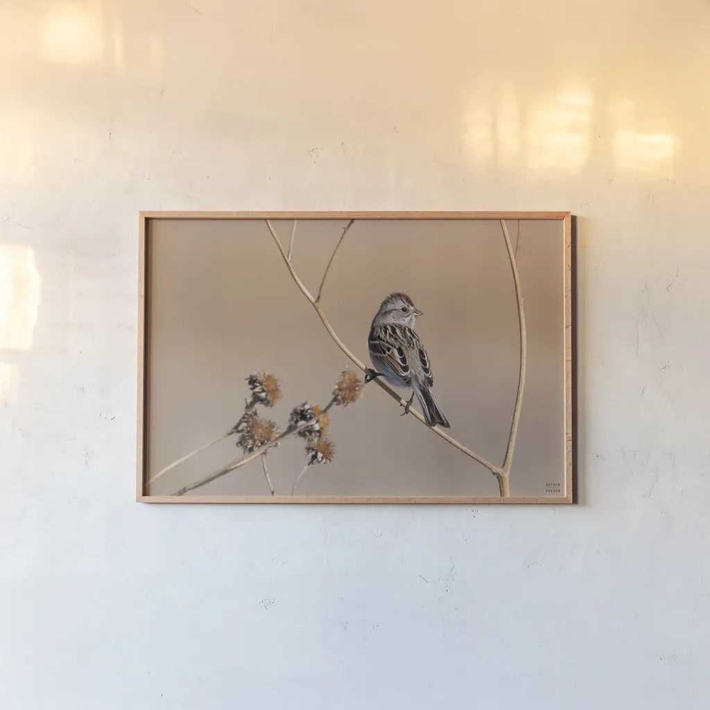 American Tree Sparrow by Nathan Larson. shown as a paper print in a natural frame. Available as a archival giclee rolled canvas, fine art paper, or poster print. SKU 101665i.