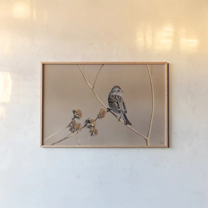American Tree Sparrow by Nathan Larson. shown as a paper print in a natural frame. Available as a archival giclee rolled canvas, fine art paper, or poster print. SKU 101665i.