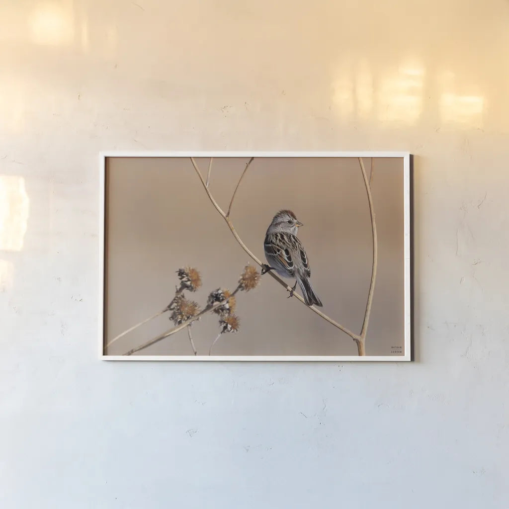 American Tree Sparrow by Nathan Larson. shown as a paper print in a white frame. Available as a archival giclee rolled canvas, fine art paper, or poster print. SKU 101665i.