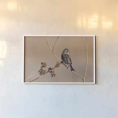 American Tree Sparrow by Nathan Larson. shown as a paper print in a white frame. Available as a archival giclee rolled canvas, fine art paper, or poster print. SKU 101665i.