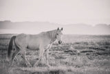 And Then All Was Quiet by Nathan Larson. SKU 95333i. Archival Giclee Fine art print for wall decor.