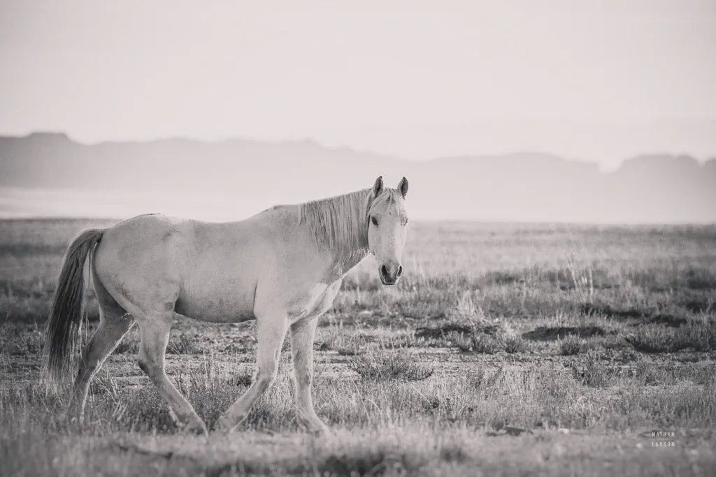 And Then All Was Quiet by Nathan Larson. SKU 95333i. Archival Giclee Fine art print for wall decor.