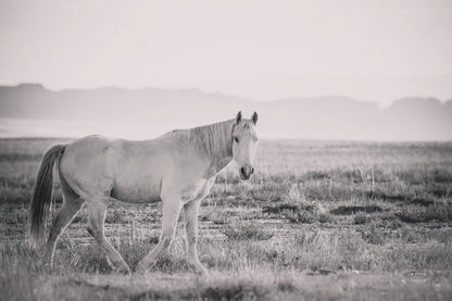 And Then All Was Quiet by Nathan Larson. SKU 95333i. Archival Giclee Fine art print for wall decor.