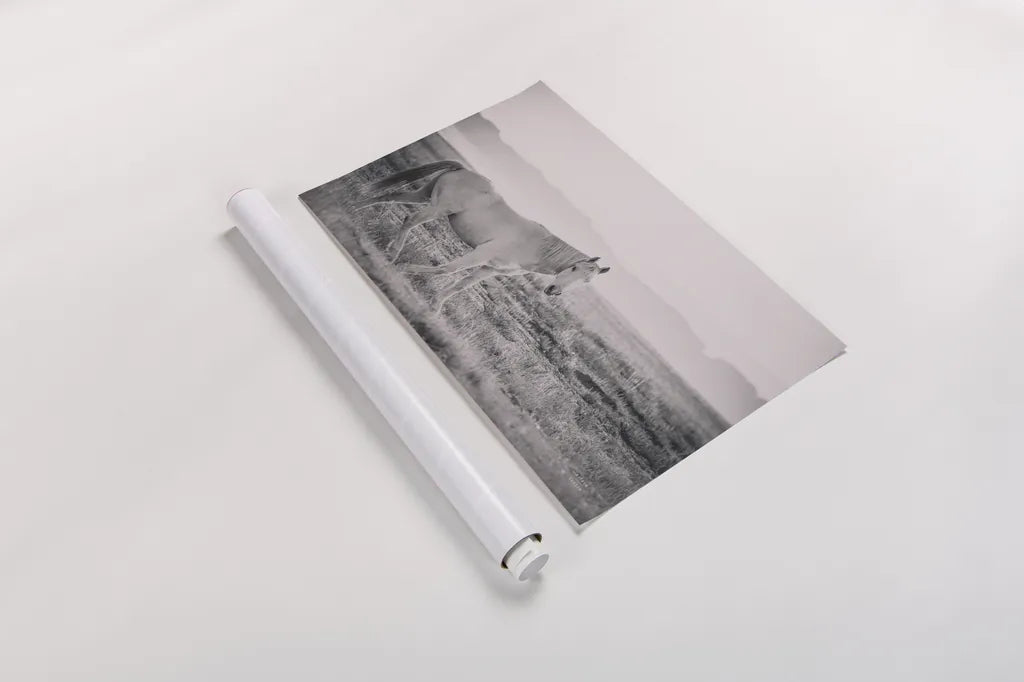 And Then All Was Quiet by Nathan Larson. shown as a rolled paper print. Available as archival giclee rolled canvas, fine art paper, or poster print. SKU 95333i.