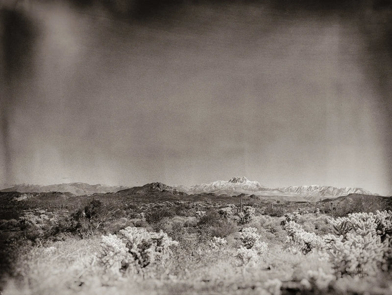 Apache Trail Arizona Sepia by Nathan Larson