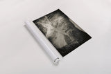 Approaching Vintage by Nathan Larson. shown as a rolled paper print. Available as archival giclee rolled canvas, fine art paper, or poster print. SKU 82409i.