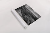 Aqueduct IV by Nathan Larson. shown as a rolled paper print. Available as archival giclee rolled canvas, fine art paper, or poster print. SKU 89237i.