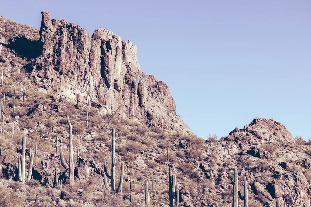 Arizona Dreams by Nathan Larson. SKU 90479i. Archival Giclee Fine art print for wall decor.