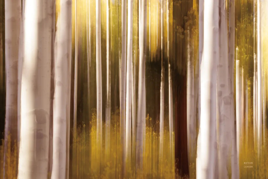 Aspen Dreams by Nathan Larson. SKU 94834i. Archival Giclee Fine art print for wall decor.