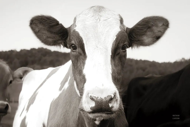 At the Barn by Nathan Larson. SKU 82813i. Archival Giclee Fine art print for wall decor.