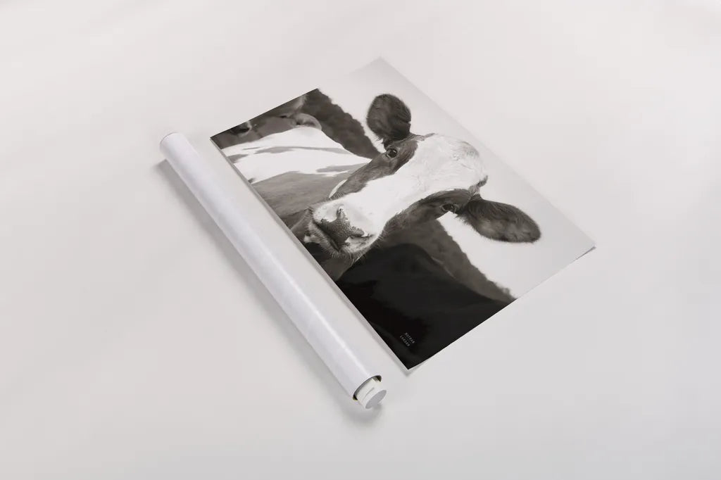 At the Barn by Nathan Larson. shown as a rolled paper print. Available as archival giclee rolled canvas, fine art paper, or poster print. SKU 82813i.