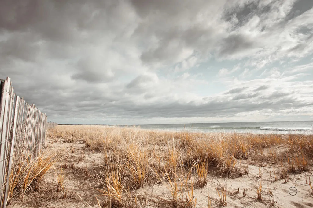 Atlantic Coast Afternoon by Nathan Larson. SKU 71173i. Archival Giclee Fine art print for wall decor.