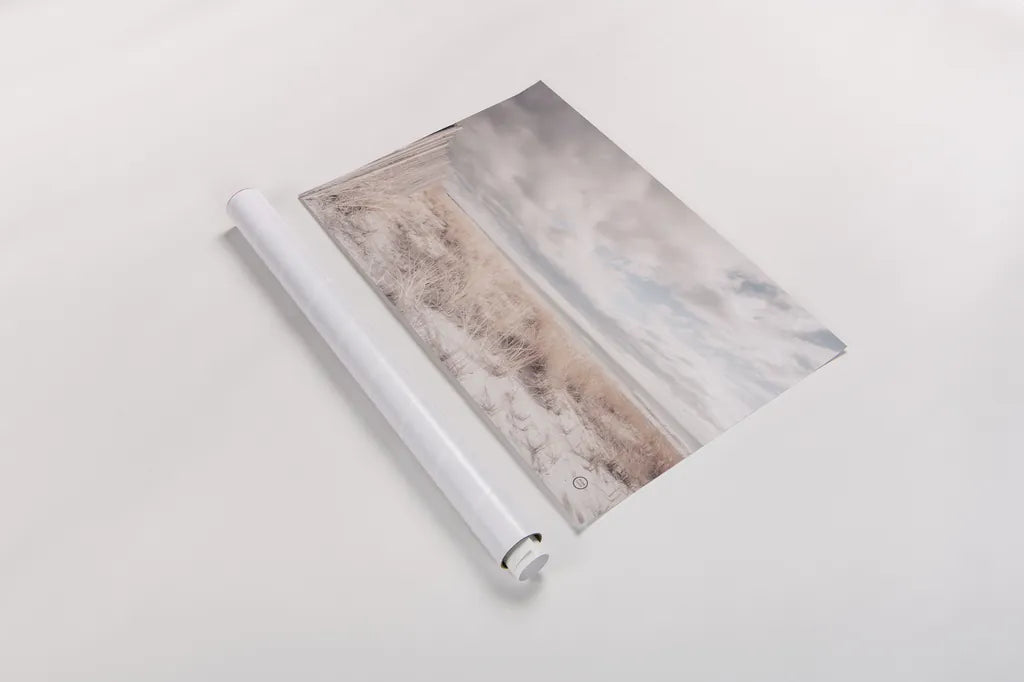 Atlantic Coast Afternoon Soft by Nathan Larson. shown as a rolled paper print. Available as archival giclee rolled canvas, fine art paper, or poster print. SKU 73942i.