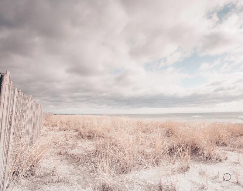 Atlantic Coast Afternoon Soft Crop by Nathan Larson