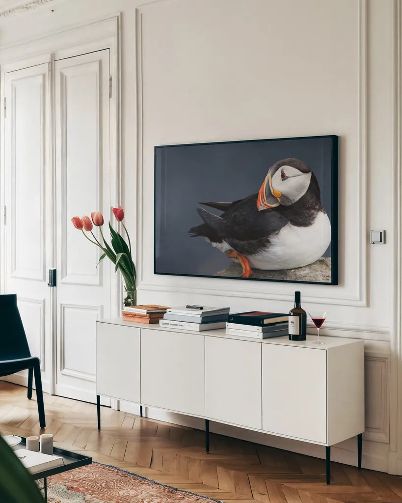 Atlantic Puffin by Nathan Larson. shown as a framed stretched canvas in a living room above a console. Available as a archival giclee rolled canvas, fine art paper, or poster print. SKU 100495i.