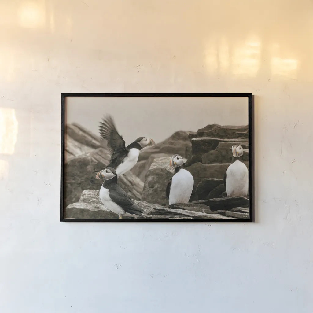 Atlantic Puffin Colony by Nathan Larson. shown as a paper print in a black flame. Available as a archival giclee rolled canvas, fine art paper, or poster print. SKU 100609i.