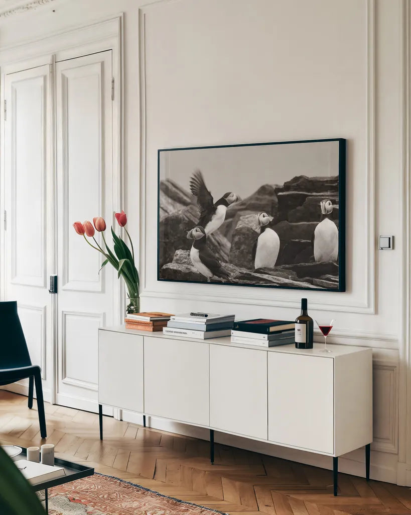 Atlantic Puffin Colony BW by Nathan Larson. shown as a framed stretched canvas in a living room above a console. Available as a archival giclee rolled canvas, fine art paper, or poster print. SKU 100610i.