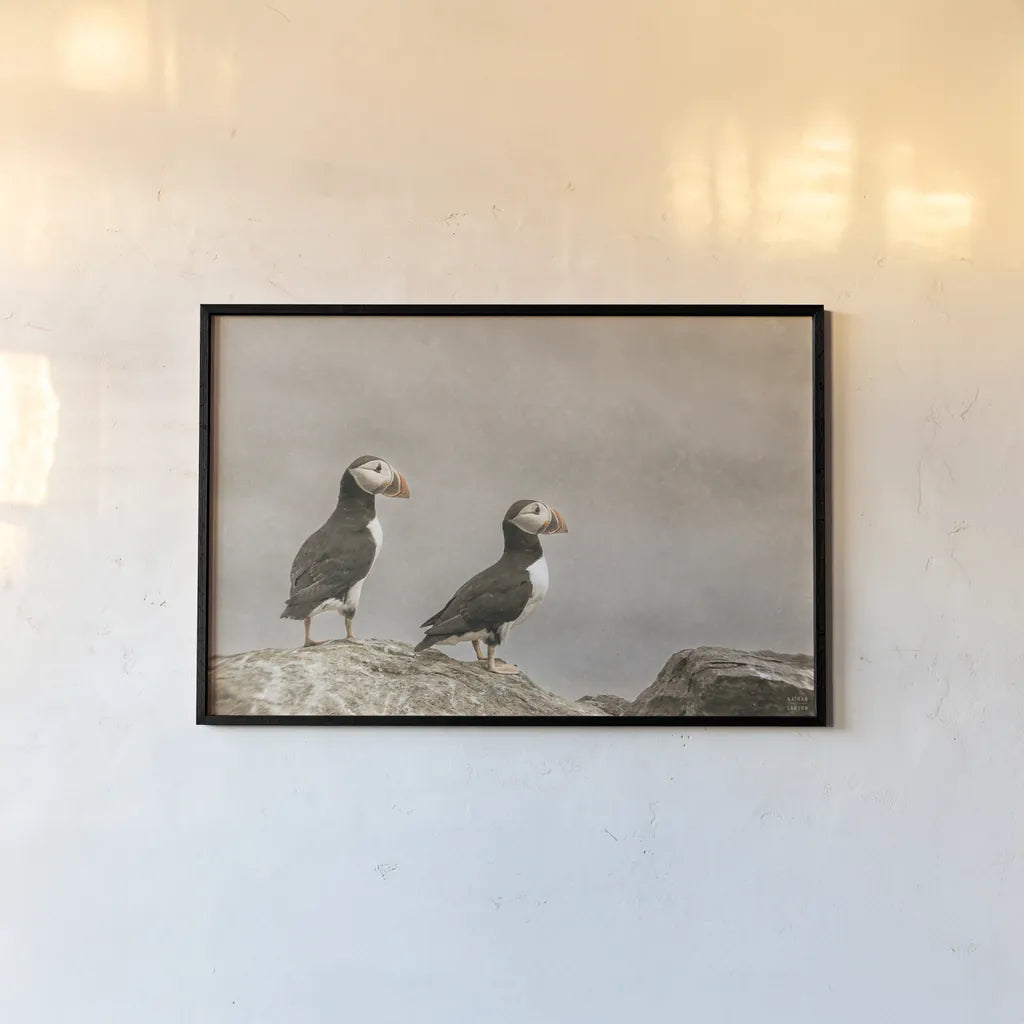 Atlantic Puffin Pair by Nathan Larson. shown as a paper print in a black flame. Available as a archival giclee rolled canvas, fine art paper, or poster print. SKU 100605i.