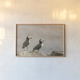 Atlantic Puffin Pair by Nathan Larson. shown as a paper print in a natural frame. Available as a archival giclee rolled canvas, fine art paper, or poster print. SKU 100605i.