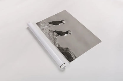 Atlantic Puffin Pair Sepia by Nathan Larson. shown as a rolled paper print. Available as archival giclee rolled canvas, fine art paper, or poster print. SKU 100606i.