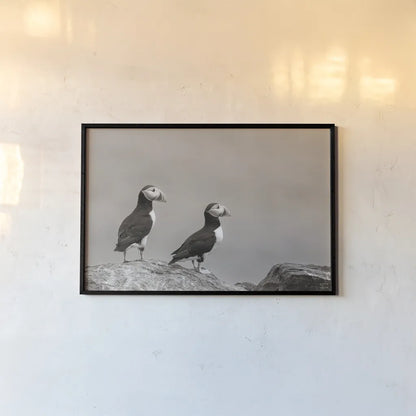 Atlantic Puffin Pair Sepia by Nathan Larson. shown as a paper print in a black flame. Available as a archival giclee rolled canvas, fine art paper, or poster print. SKU 100606i.