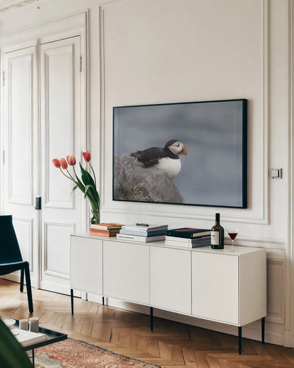 Atlantic Puffin Resting by Nathan Larson. shown as a framed stretched canvas in a living room above a console. Available as a archival giclee rolled canvas, fine art paper, or poster print. SKU 100607i.