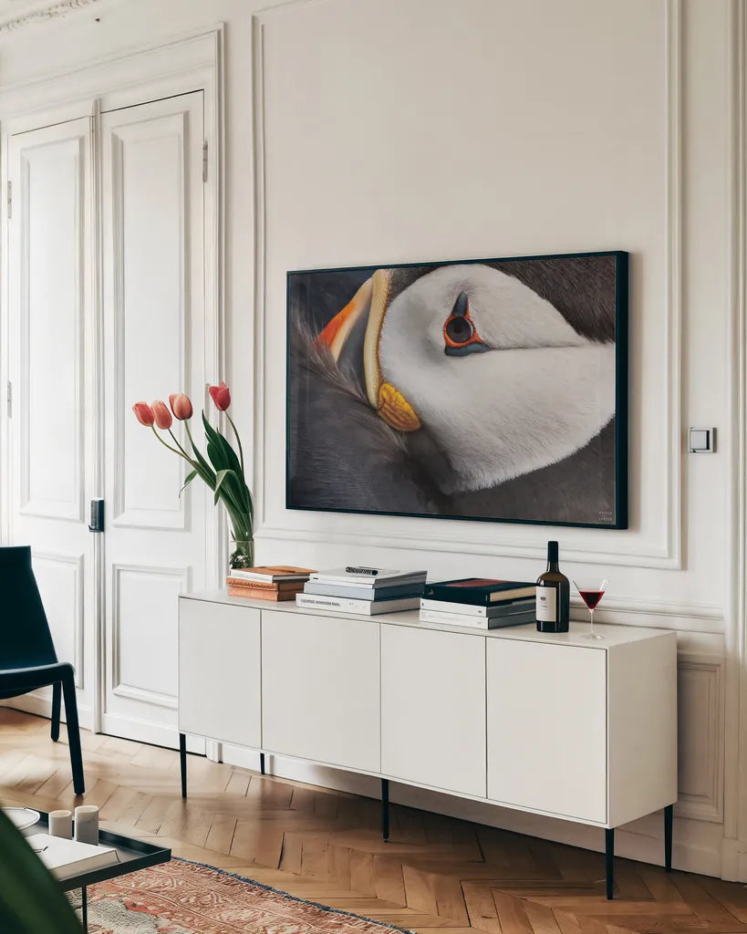 Atlantic Puffin Tucked by Nathan Larson. shown as a framed stretched canvas in a living room above a console. Available as a archival giclee rolled canvas, fine art paper, or poster print. SKU 100611i.
