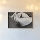 Atlantic Puffin Tucked BW by Nathan Larson. shown as a paper print in a white frame. Available as a archival giclee rolled canvas, fine art paper, or poster print. SKU 100613i.