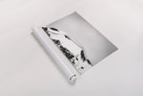 Avalanche View by Nathan Larson. shown as a rolled paper print. Available as archival giclee rolled canvas, fine art paper, or poster print. SKU 81190i.