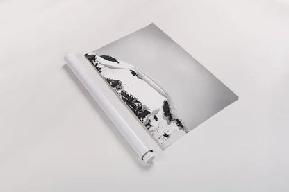 Avalanche View by Nathan Larson. shown as a rolled paper print. Available as archival giclee rolled canvas, fine art paper, or poster print. SKU 81190i.