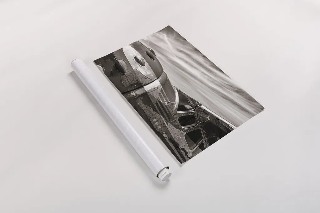 Aviator by Nathan Larson. shown as a rolled paper print. Available as archival giclee rolled canvas, fine art paper, or poster print. SKU 76904i.